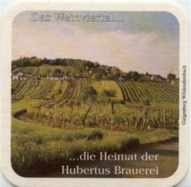 laa n-a hubertus das wein 6b (quad180-weinberg) 